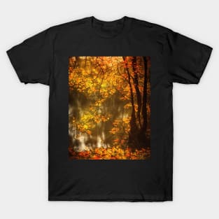 Natural landscape in autumn T-Shirt